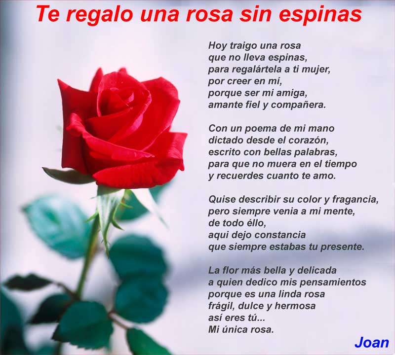 Te regalo una rosa sin espinas - Poemas de amor