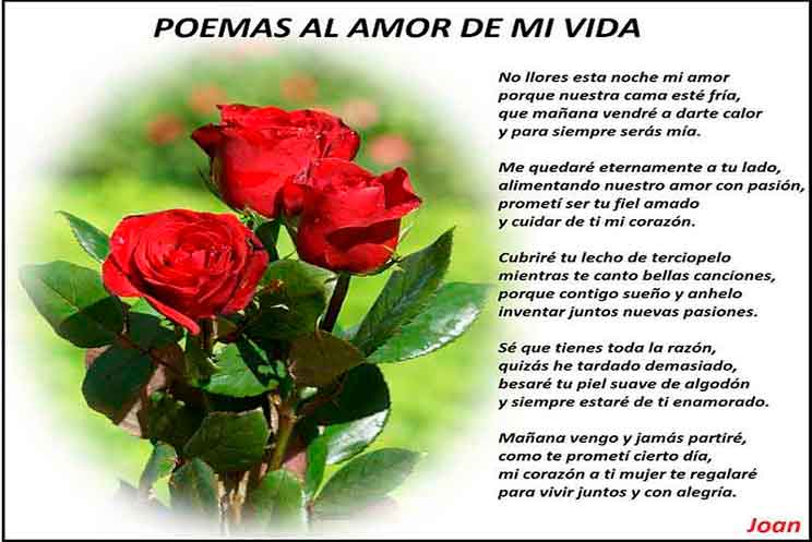 Poemas Al Amor De Mi Vida